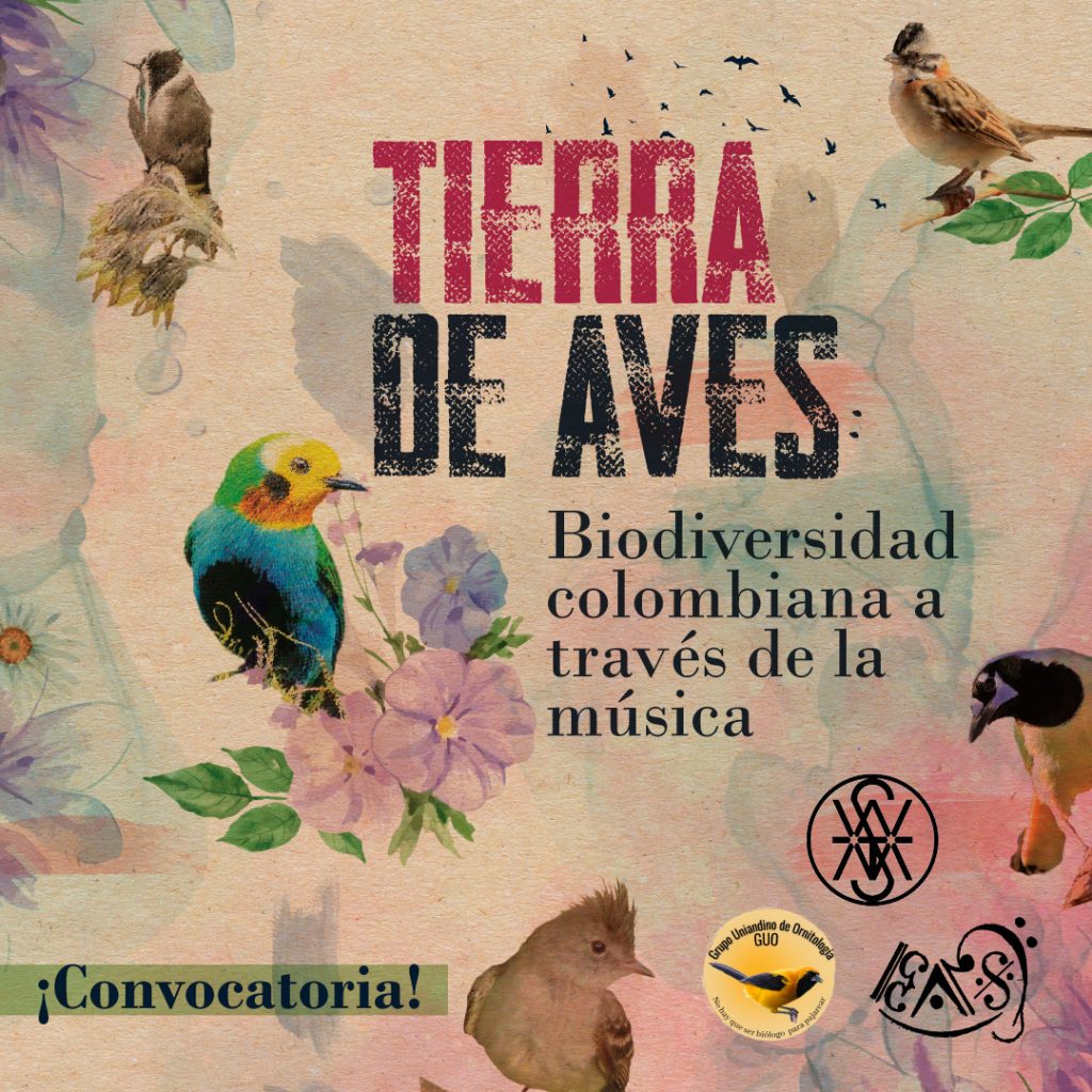Tierra-de-Aves-A_Fix