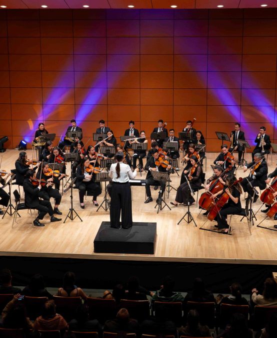 Orquesta de Los Andes: obras de Gutiérrez, Haydn y Beethoven