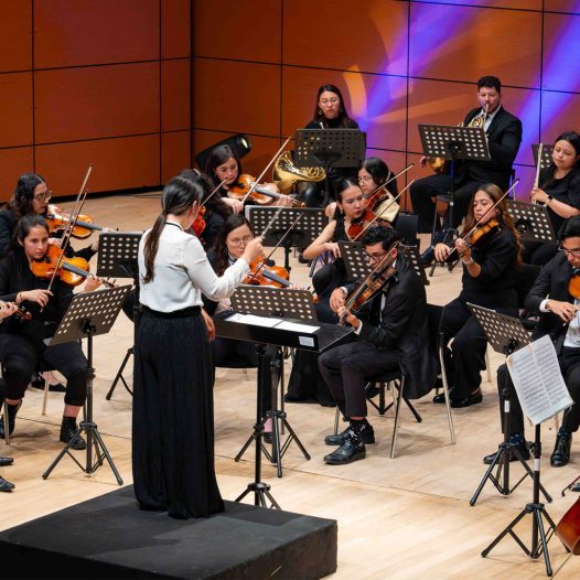 La Orquesta de Los Andes se presentar el miércoles 28 de agosto a las 7:00 p.m. en el Auditorio Mario Laserna, Universidad de los Andes