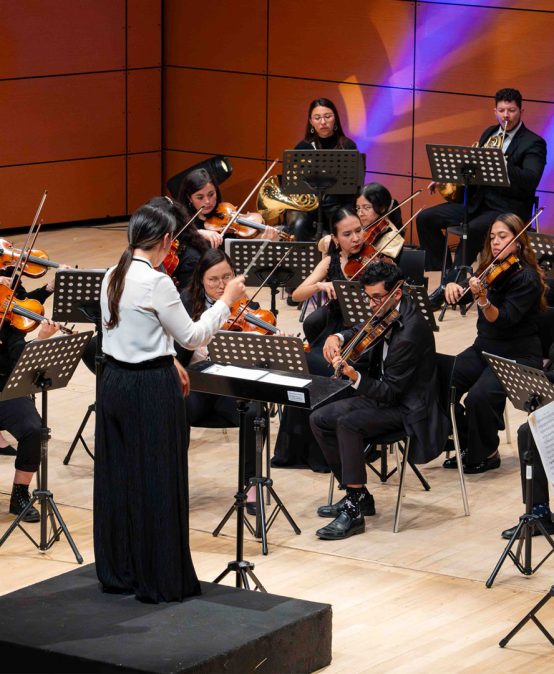 Orquesta de Los Andes presenta: Obras de Krommer y Mozart