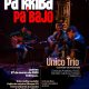 Concierto de la Tarde: Pa´rriba y pa´bajo con Único Trío, jueves 27 de marzo de 2025 a las 6:00 p.m. en la Cajita de música