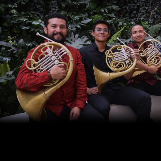 Concierto de la Tarde: Cuarteto de Cornos, jueves 22 de mayo de 2025 a las 6:00 p.m. en la Cajita de música, Universidad de los Andes