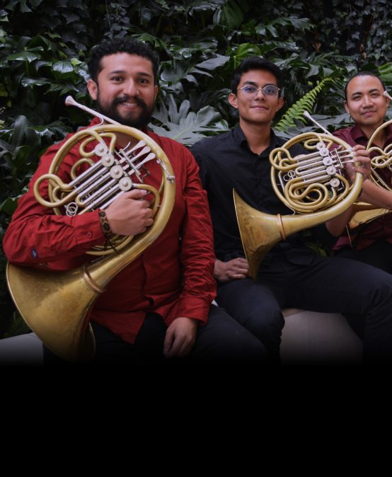 Concierto de la Tarde: Cuarteto de Cornos