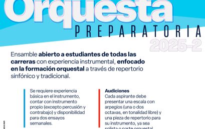 Convocatoria: Orquesta Preparatoria Uniandes en 2025-2