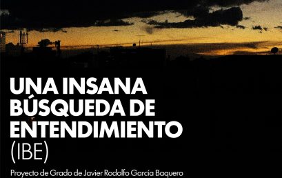 Una Insana Búsqueda de Entendimiento